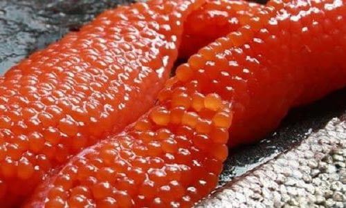 تصویر 3 از خرید و قیمت خاویار قرمز 100 گرمی + فروش عمده